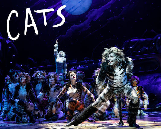 Cats